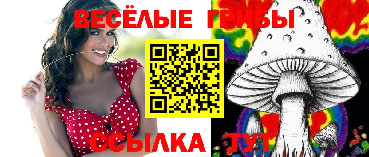Псилоцибиновые грибы прущие грибы  Вход с VPN  Псилоцибиновые грибы GOLDEN TEACHER  Каменск-Уральский 